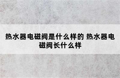 热水器电磁阀是什么样的 热水器电磁阀长什么样